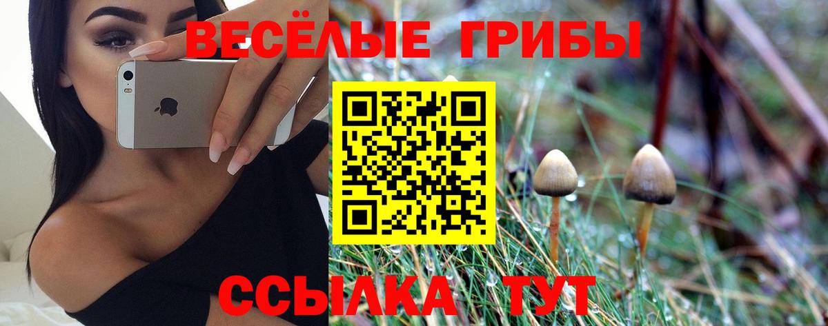 Назарово  Галлюциногенные грибы Psilocybine cubensis  Вход с VPN 